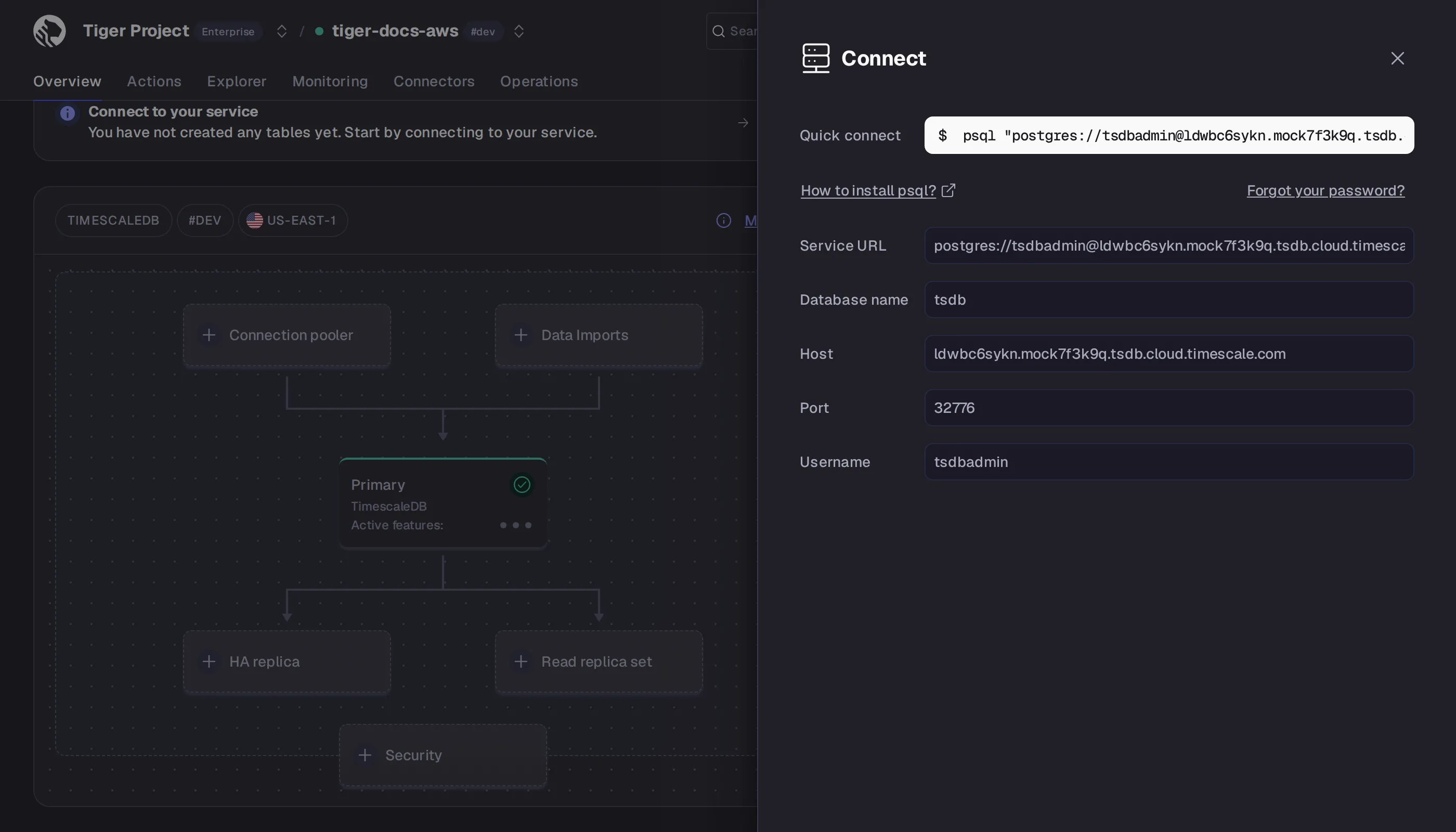 Service connection details in Tiger Console